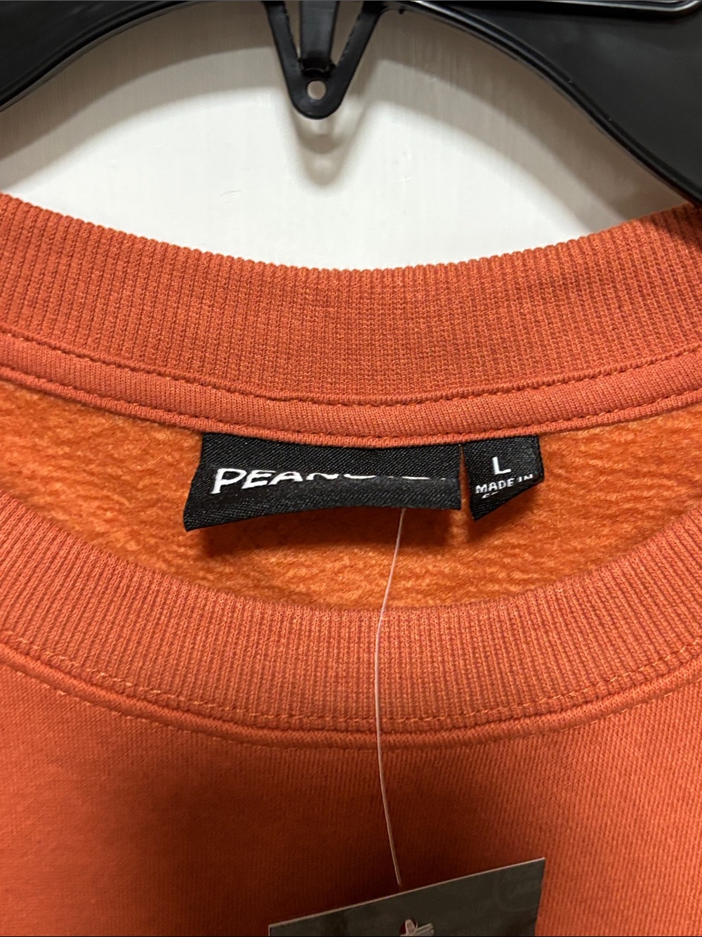 NWT Peanuts Snoopy Boo Women’s L Crewneck Burnt Orange Rust Halloween Sweatshirt - Picture 2 of 7